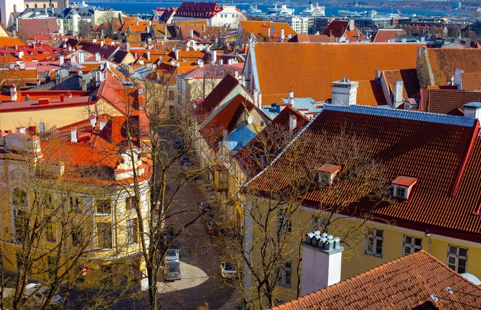 tallinn old town roofs