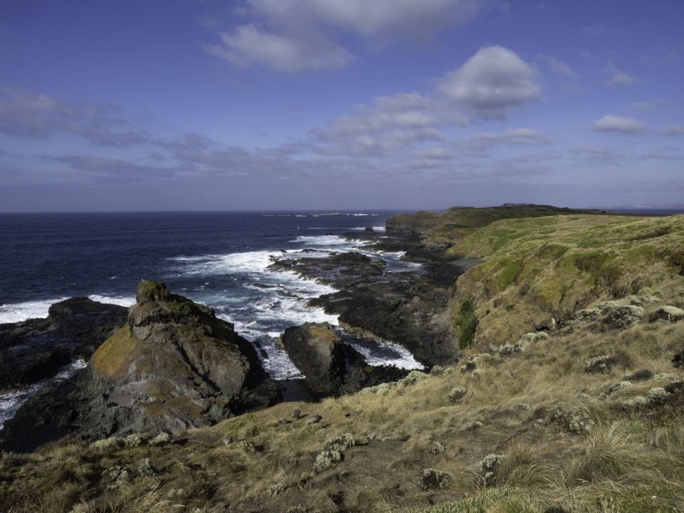 australia melbourne phillip island coastline