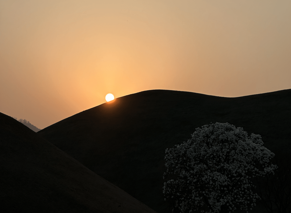 Sunset in Daereungwon Tomb Complex