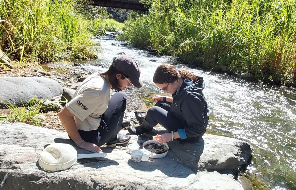 river students abroad