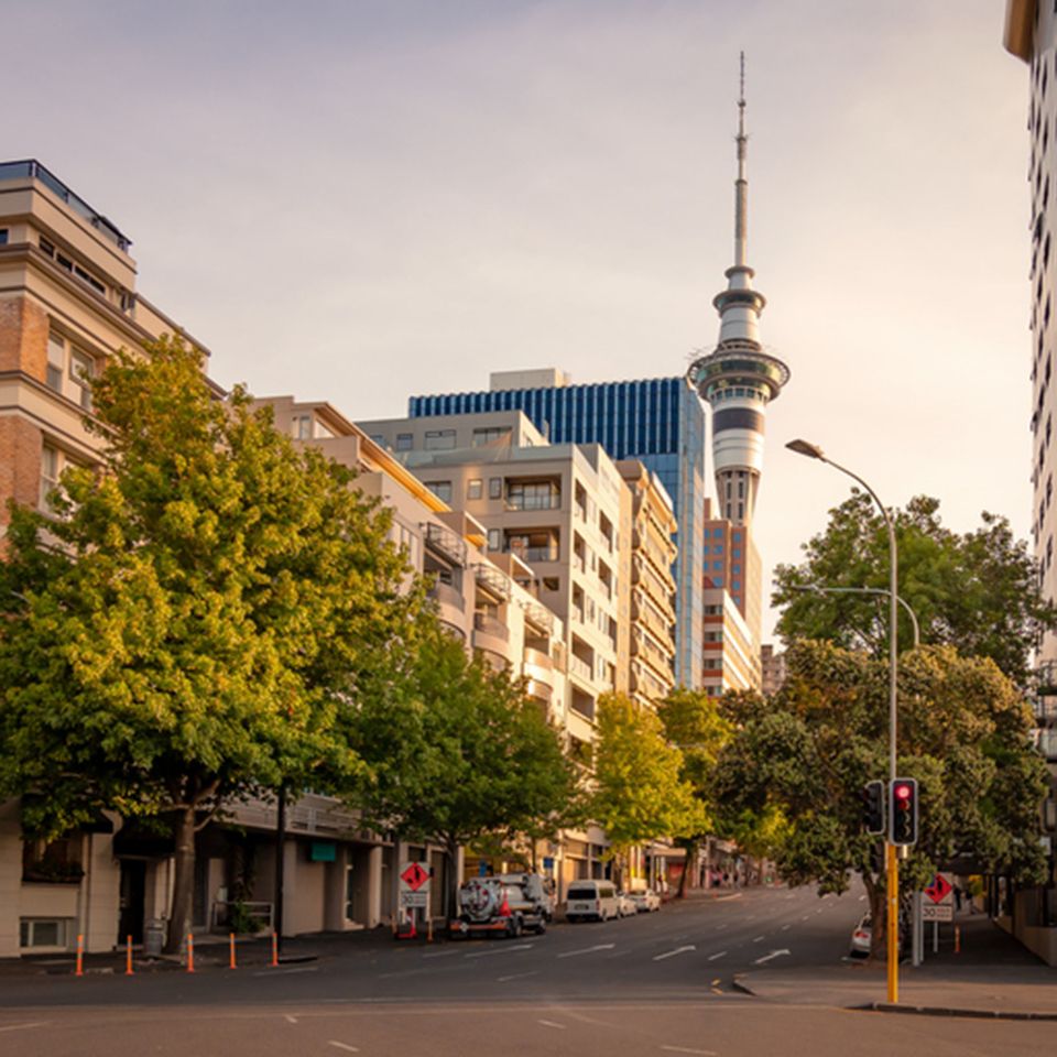 auckland street