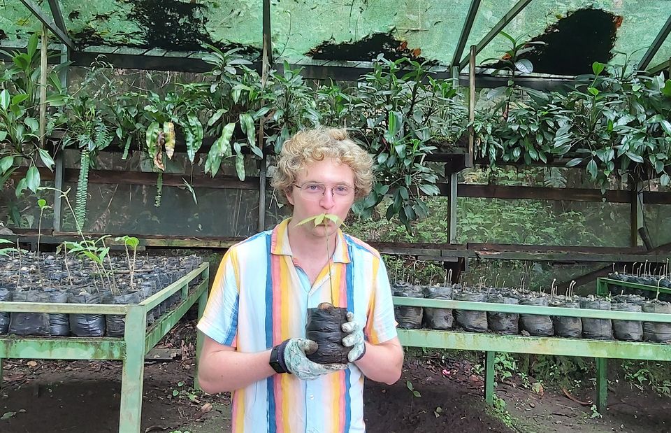 plant study abroad intern garden monteverde