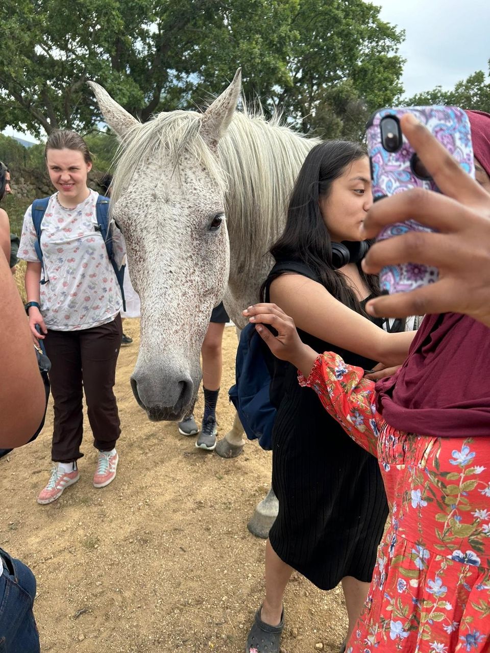 Students taking photos with a white horse.