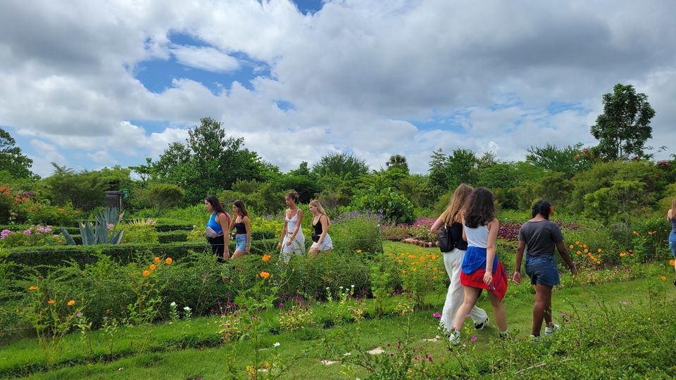 Students walking through the garden grounds on a beautiful sunny day.