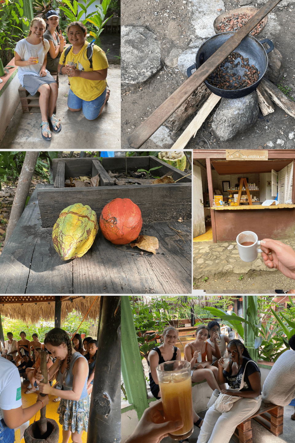 cacao