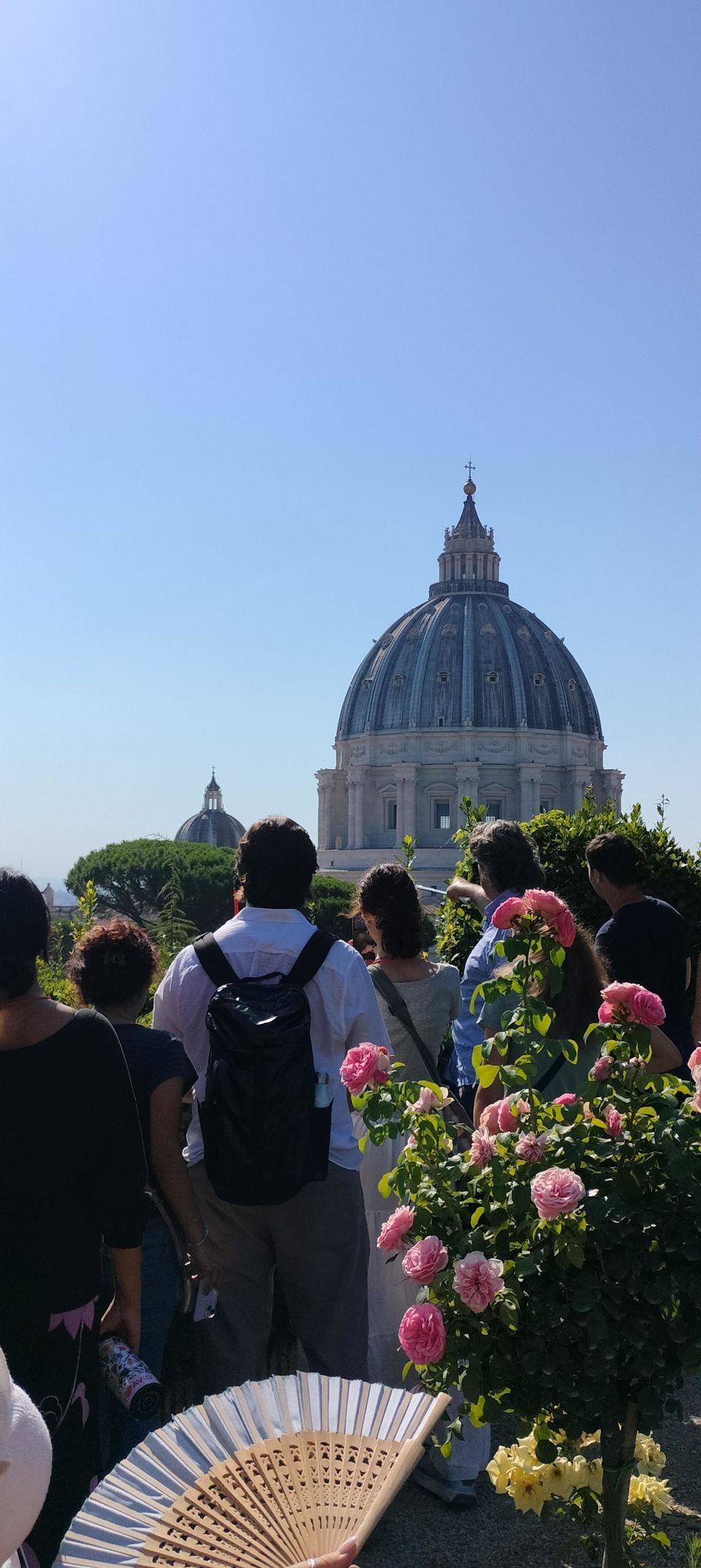 Vatican gardens