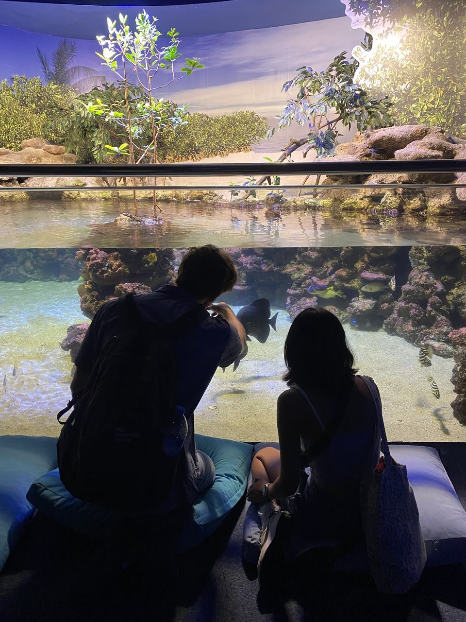 students at aquarium 