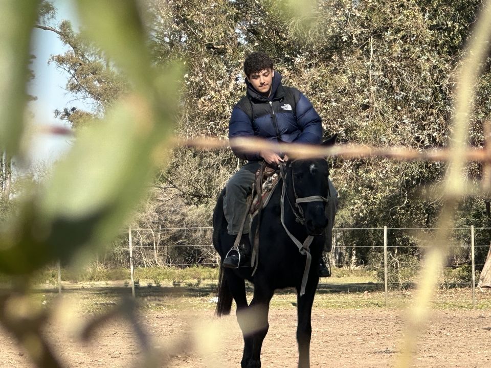 On horseback