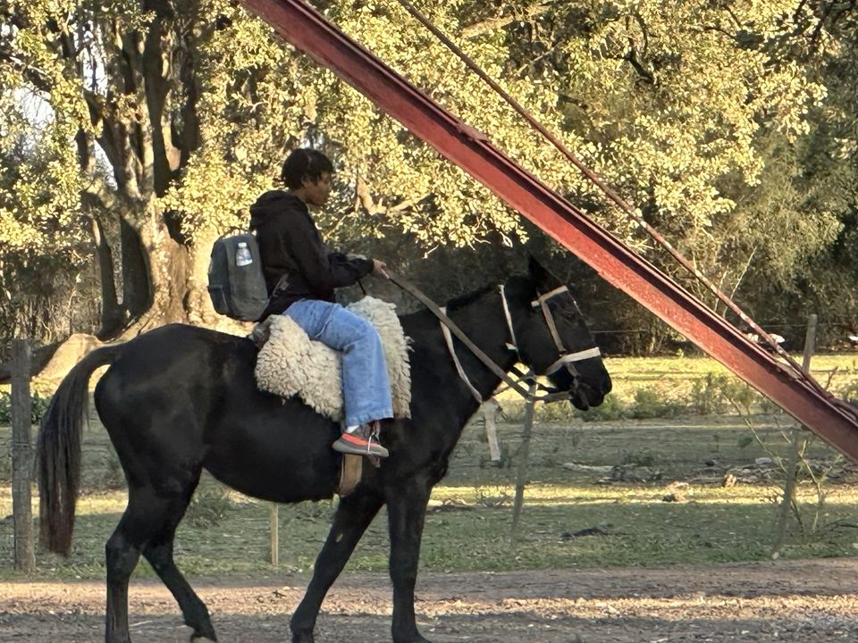 On horseback