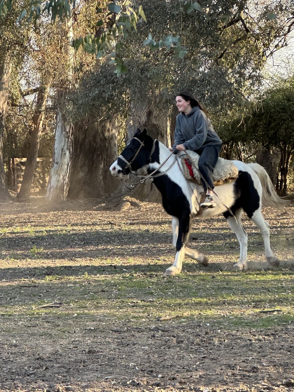 On horseback