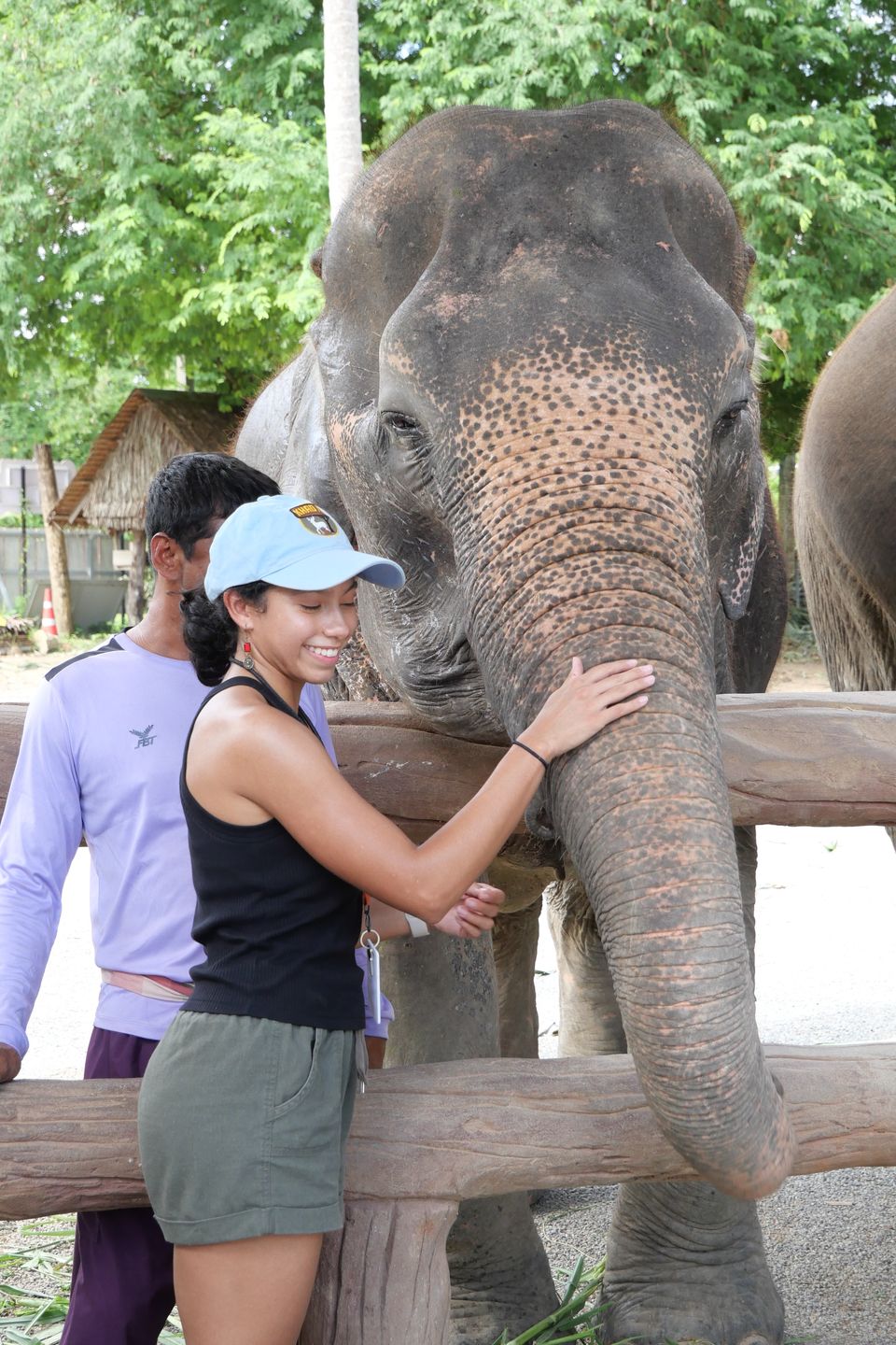 elephants