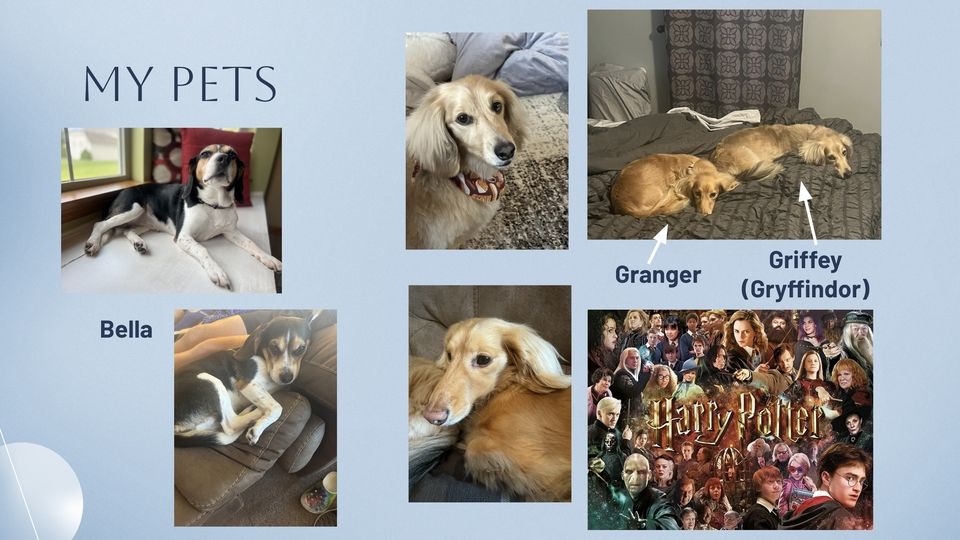 My Powerpoint slide about my dogs