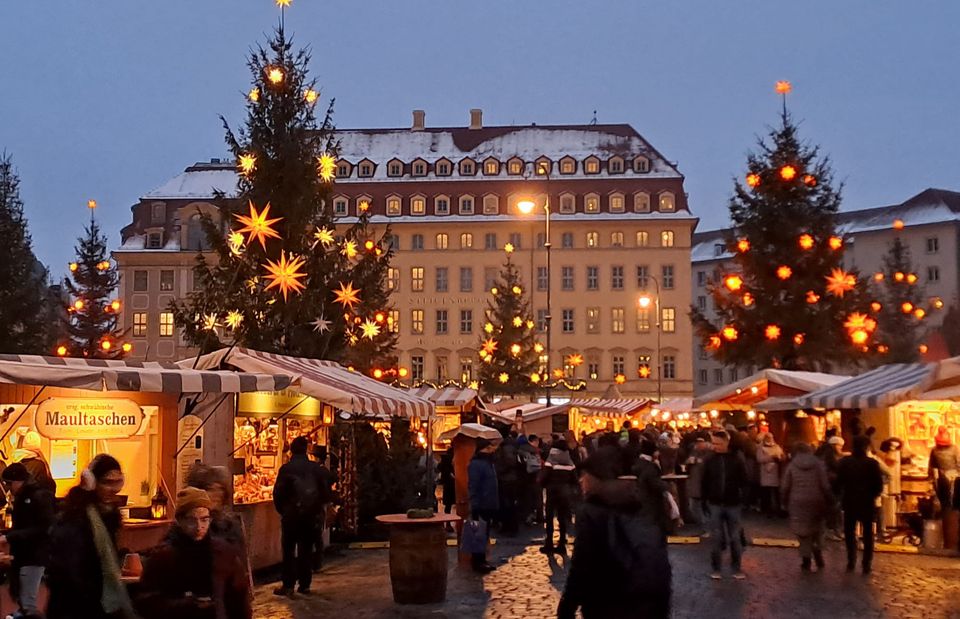 berlin study abroad christmas market holidays lights