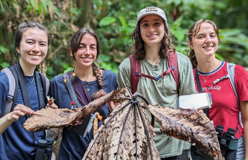 monteverde study abroad students forest