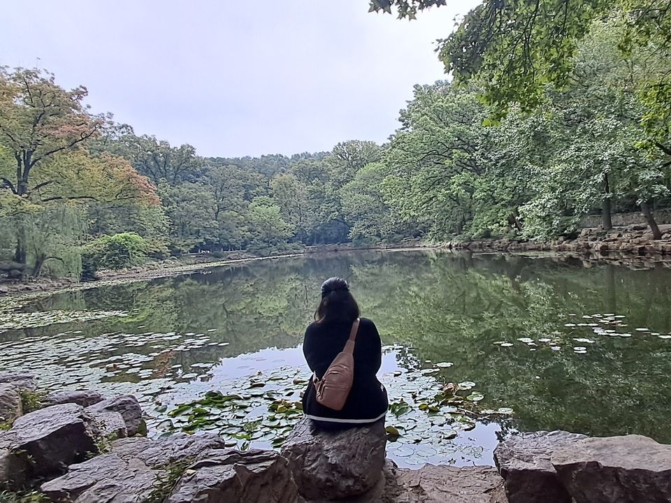 a photo of a lake